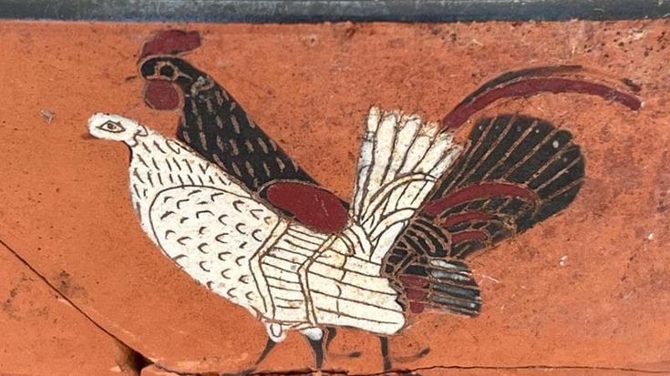 Gragnano, necropoli scoperta al pastificio Garofalo: 82 tombe