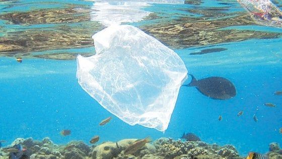 Plastica in mare, l’affare nascosto ai pescatori non conviene stoccarla