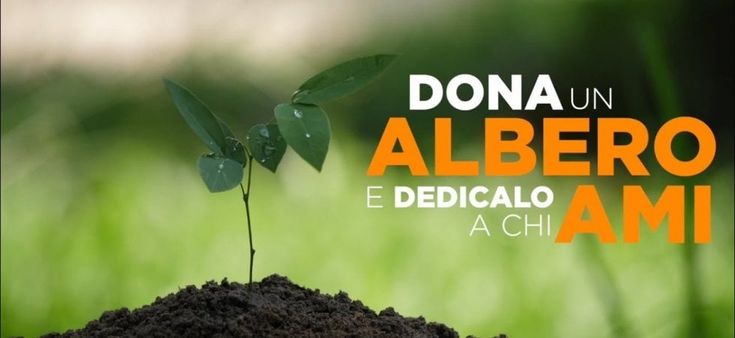Donare un albero con dedica personalizzata: il bello di "Firenze green smart city"