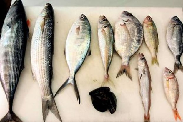 Caldo, contro l'insonnia 'No' a pesce azzurro a cena