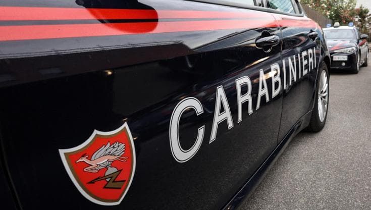 Un cane aggredisce il vicino che gli spara. Due denunce
