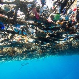 Microplastiche nei cosmetici, la legge al palo. Le associazioni: "Approvarla subito"
