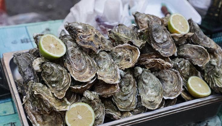 Ostriche italiane, sfida alla Francia: ora sono buone tutto l’anno