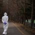 Coronavirus: la pandemia provocherà 25 milioni di disoccupati