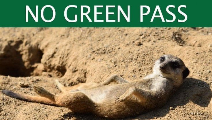 Bergamo, "Le Cornelle no Green-Pass", ed è polemica: la pubblicità del parco fa infuriare gli utenti