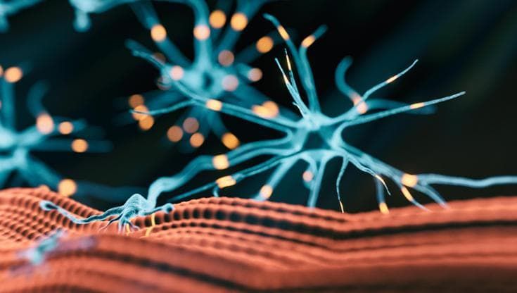 Ai e malattie neuromuscolari, un progetto europeo per arrivare prima alla diagnosi