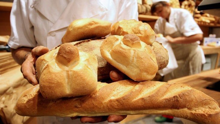 "A Firenze il pane costa più caro", l'analisi di Coldiretti