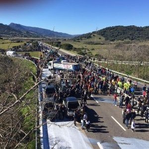 Rivolta del latte, anche gli studenti in piazza. Continuano i blocchi sulle statali, tensione alla Regione