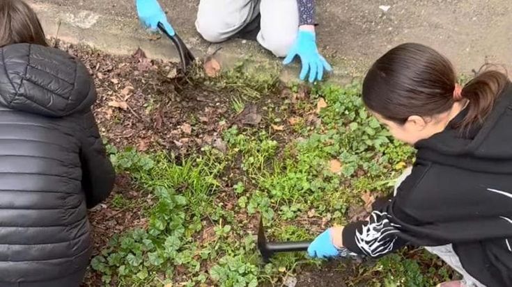 Genitori e bambini al lavoro per abbellire la scuola di via Gentilino: “Così la comunità si unisce”