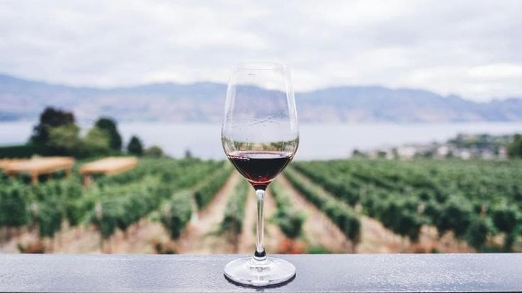 Meno aromi, più alcol e un nuovo colore: il nuovo clima cambia anche il vino
