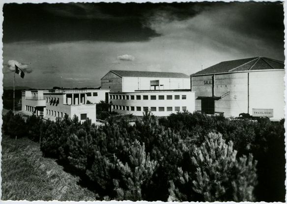 Hollywood in riva al mare quando Pisorno sfidava Cinecittà