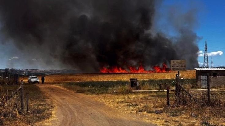 Sterpaglie in fiamme a Anguillara e Cesano. Roghi a Colle Salario e Magliana