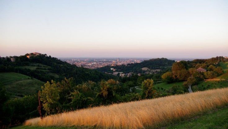 Bologna fuori porta: passeggiate nel verde con Vitruvio