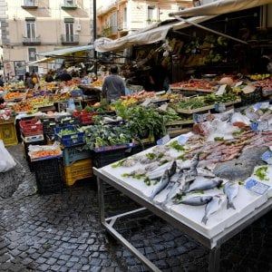 Covid:  in povertà assoluta 2,1 milioni di famiglie. L'appello: "Reddito di emergenza, proroga fino al 15 settembre"