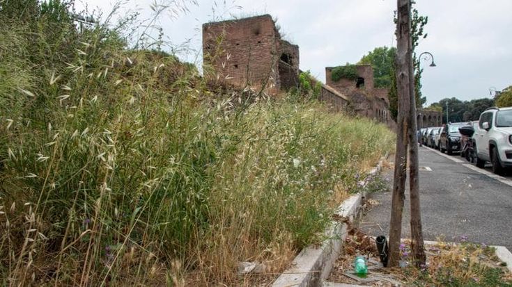 Sos verde selvaggio in città, Gualtieri rivede il piano: “Più sforzi sul diserbo”