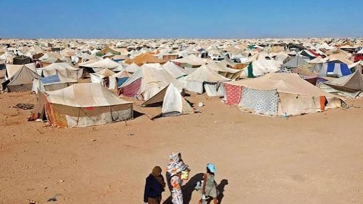 Saharawi, i bambini dei campi profughi e ambasciatori di pace tornano in Italia