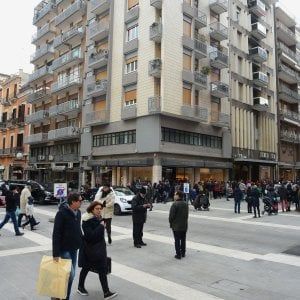 Bari, in arrivo 42 alberi per via Sparano: "Prugni e pepe rosa per rimpiazzare le palme"