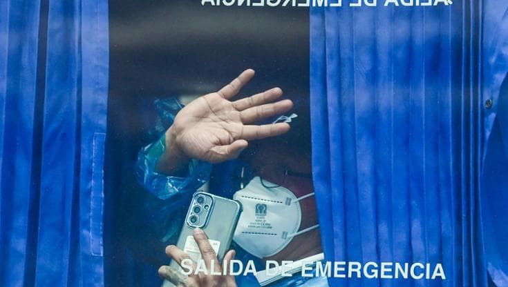 Hantavirus, gli asintomatici sono pericolosi? Cosa dicono gli esperti
