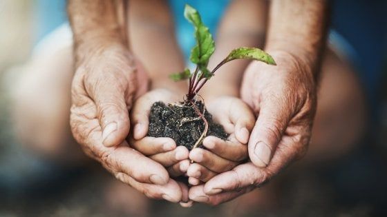 Regole per salvare il pianeta:  la sua salute passa  dalla tua tavola