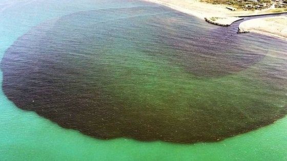 Sversamenti di liquami nel mare di Castel Volturno, attraverso il canale Agnena