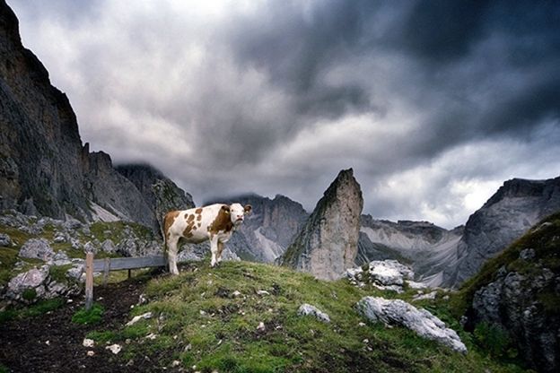 Dolomiti, il cuore di pietra del mondo: la mostra al Palazzo delle esposizioni