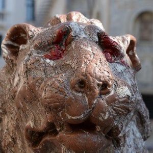 Venezia, presi gli imbrattatori del Leoncino di San Marco