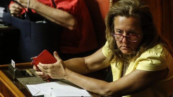 Sicurezza, Fattori (5S): "Non voterò la fiducia ma il governo reggerà. Di fatto ha l'appoggio esterno di Fdi e di quel che resta di Fi"