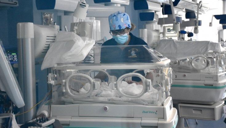 Bimba nata dall'utero trapiantato, il marito della donatrice: "Ale sarà felice ma il vuoto resta"
