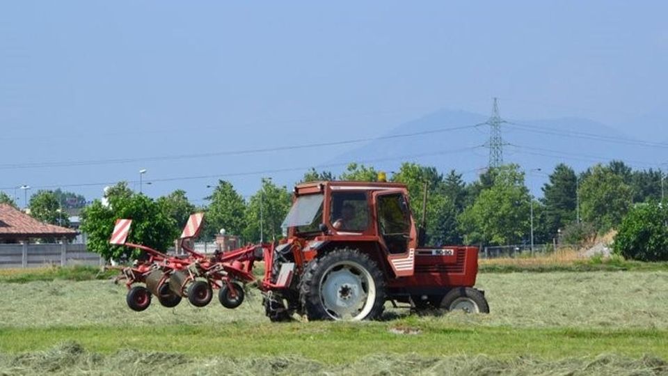 Aree Agricole Abbandonate Grugliasco Fa Un Bando Per Darle