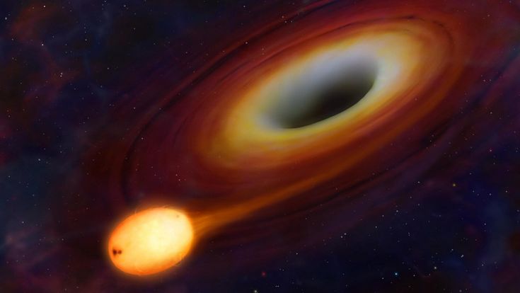 Onde gravitazionali, gli italiani a caccia di buchi neri: "Così abbiamo captato una fusione mai vista"