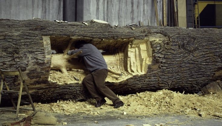 Gli alberi maestri di Giuseppe Penone