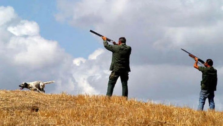 Caccia e piano di controllo regionale: cosa non funziona 