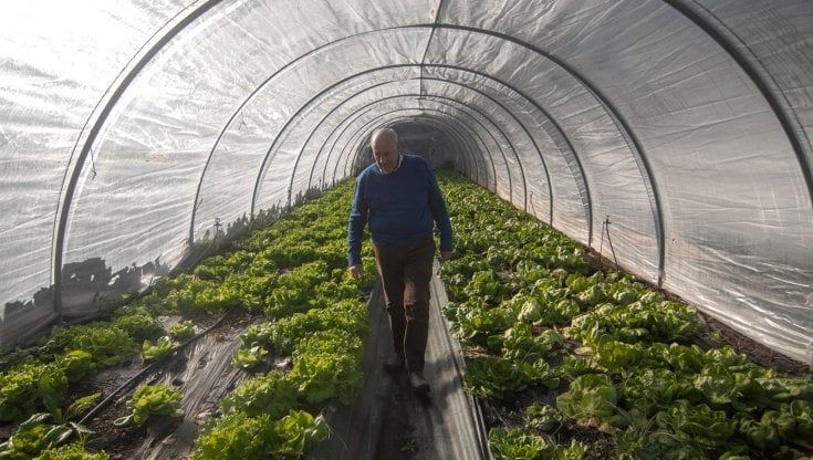 “Drenaggi e coperte di foglie, così nell’orto bioattivo rigenero e difendo le colture”
