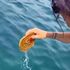 Friselle con l’acqua di mare? Sì, ma solo se viene dal supermercato