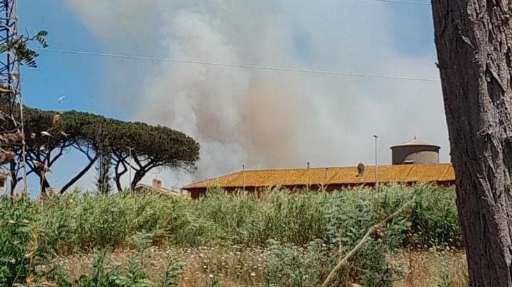 Ancora incendi alle porte di Roma, fiamme anche a Cerveteri e Palidoro