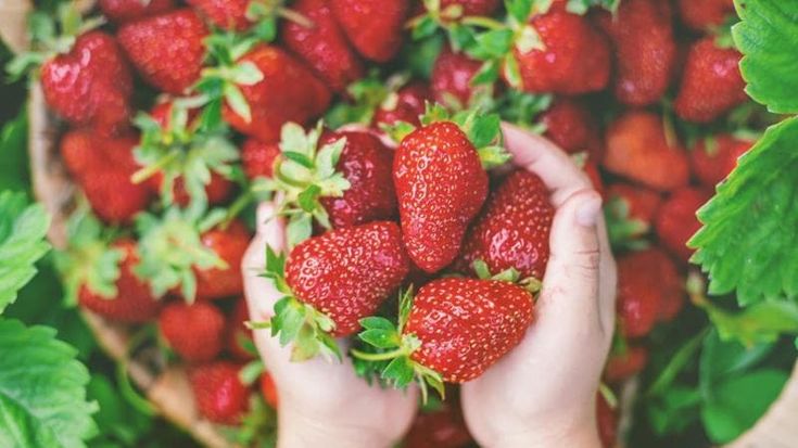 Frutta di stagione: pronti ad affrontare l’arrivo del caldo