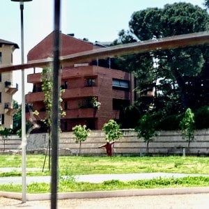 Il trionfo della natura. Le vostre foto / 6
