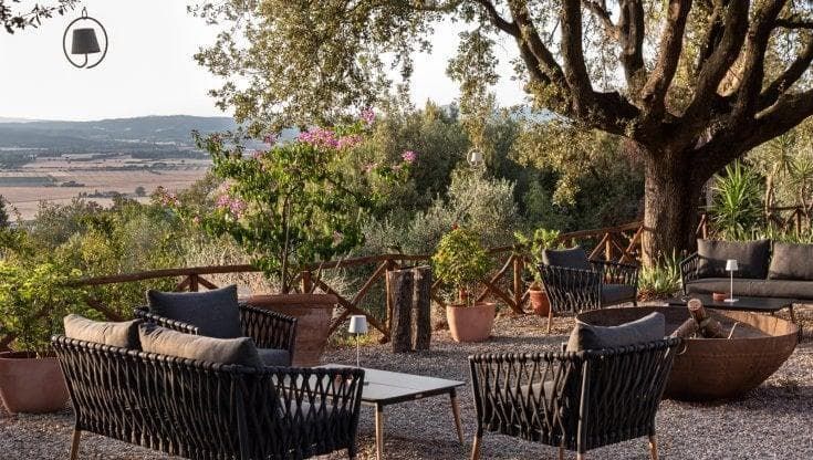 A piedi o per un pic nic, alla scoperta di olio e olive: protagonisti d'Italia