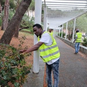 Effetto Salvini, le onlus dell'accoglienza denunciano: "Lo Stato non paga"