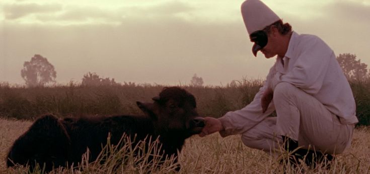 "Bella e perduta", l'Italia raccontata da un bufalo con la voce di Elio Germano