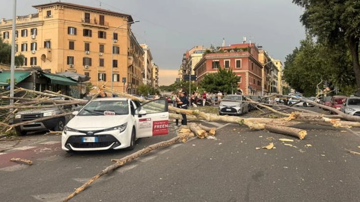 Roma, crollano alberi e rami per il maltempo: un platano colpisce un taxi in corsa, nessun ferito