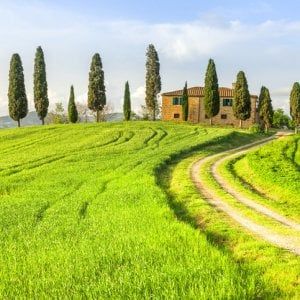 Agriturismi in crescita soprattutto al Sud. Sport e degustazione i nuovi trend