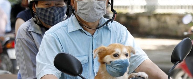 Coronavirus nel mondo: 20 milioni di contagiati. Primi casi dopo 100 giorni in Nuova Zelanda