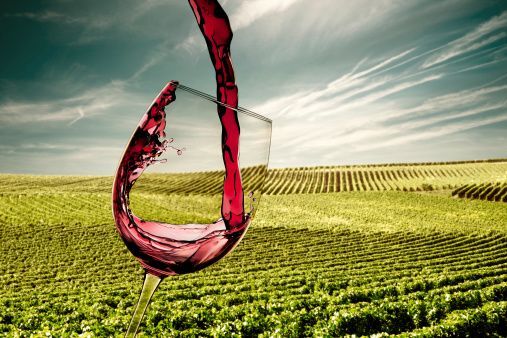 La &ldquo;grandeur &ldquo; del vino italiano<br />i francesi ci invidiano le vigne
