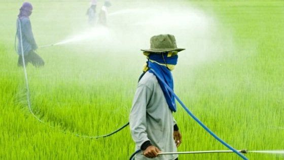 Glifosato, Ue estende autorizzazione al 31 dicembre 2017