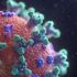 Emergenza Coronavirus: una rete online per aiutare chi ha una malattia rara