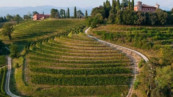 Friuli Venezia Giulia, una strada del vino, dai monti al mare