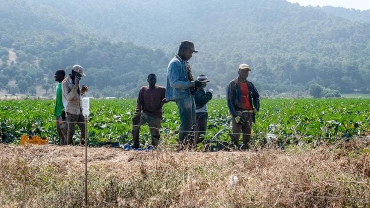 Nuovo decreto flussi, sì a 500mila migranti. Ma solo il 12 per cento alla fine troverà lavoro