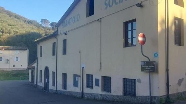 Il borgo di Buti investe nel suo frantoio: raccolti 50mila euro per l’olio decantato da D’Annunzio