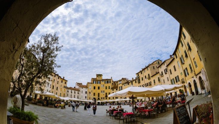 Distribuzione beverage, Roncoroni (Cda): "Il settore horeca sia pronto al cambiamento"